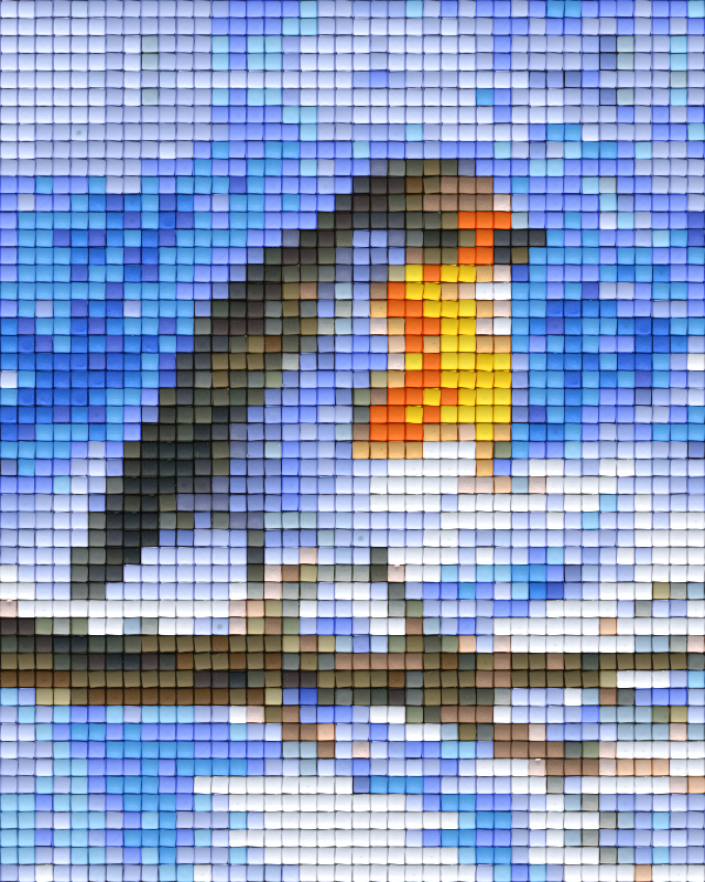 be-the-first-to-own-the-newest-pixelhobby-klassik-vorlage-vogel-discount_0.png