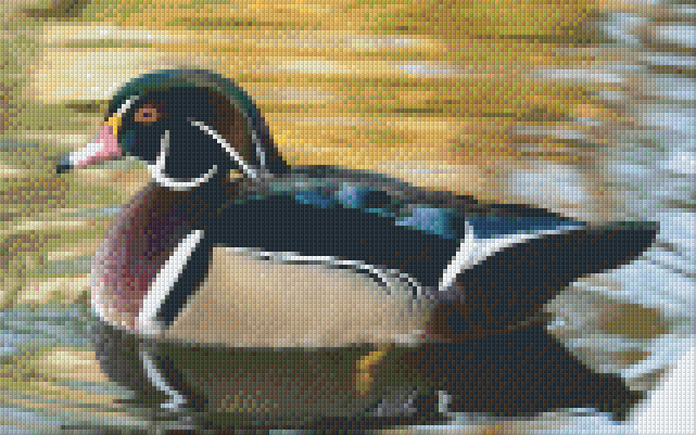 have-your-favorite-sports-teams-pixelhobby-klassik-set-ente-sale_0.png