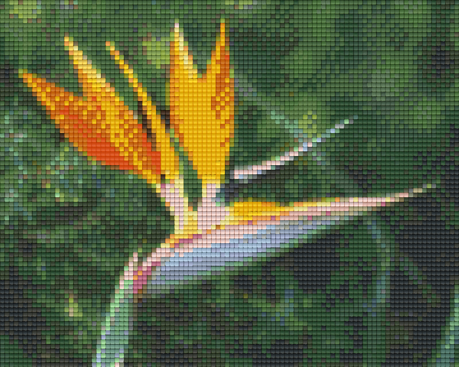 shop-for-the-newest-pixelhobby-klassik-set-blute-feuervogel-on-sale_0.png