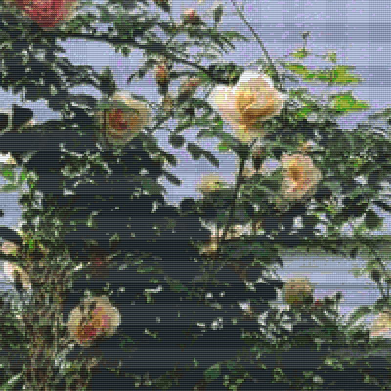get-pixelhobby-klassik-set-rosendurchblick-discount_0.png
