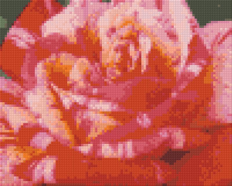 shop-without-worry-for-pixelhobby-klassik-vorlage-rote-kletterrose-online-hot-sale_0.jpg