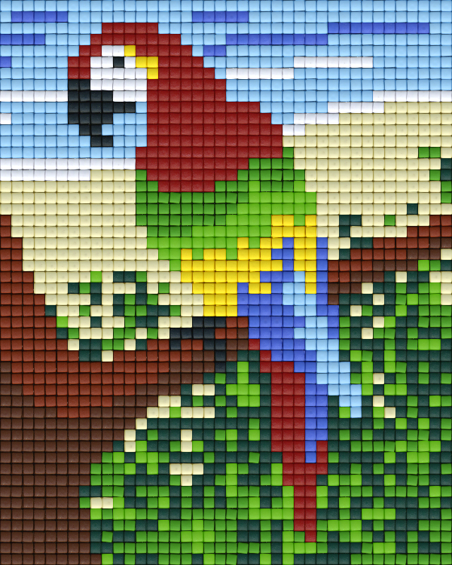 the-largest-online-retailer-of-pixel-hobby-classic-template-parrot-supply_0.png