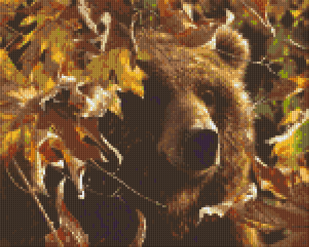 we-offer-cheap-pixel-hobby-classic-template-grizzly-discount_0.png