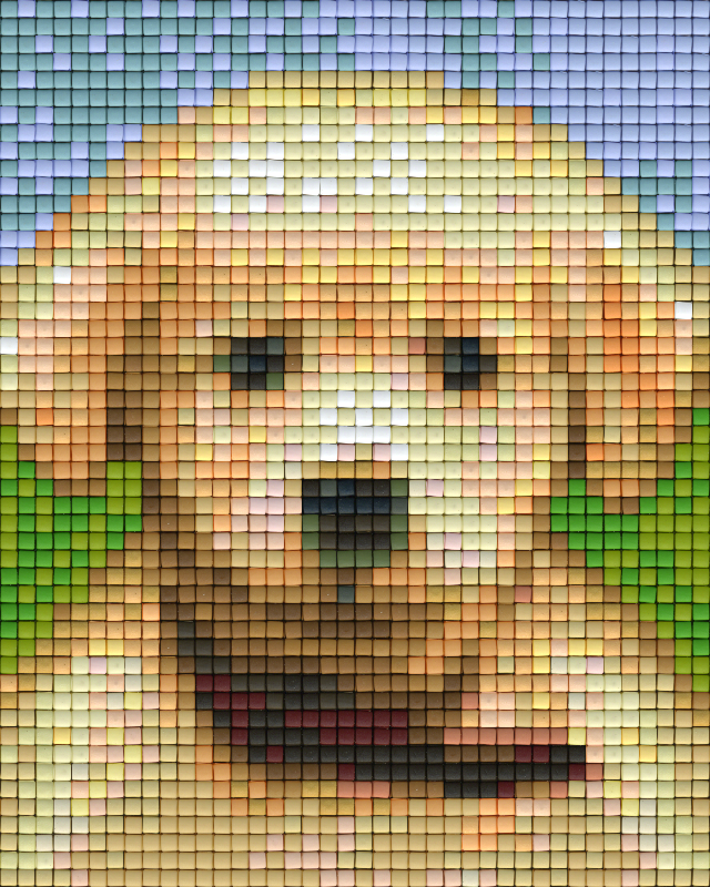 buy-and-sell-pixel-hobby-classic-template-puppy-online-sale_0.png