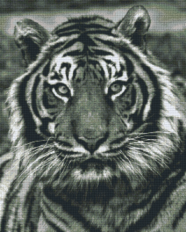 buy-and-sell-pixelhobby-klassik-set-tiger-s-w-on-sale_0.png