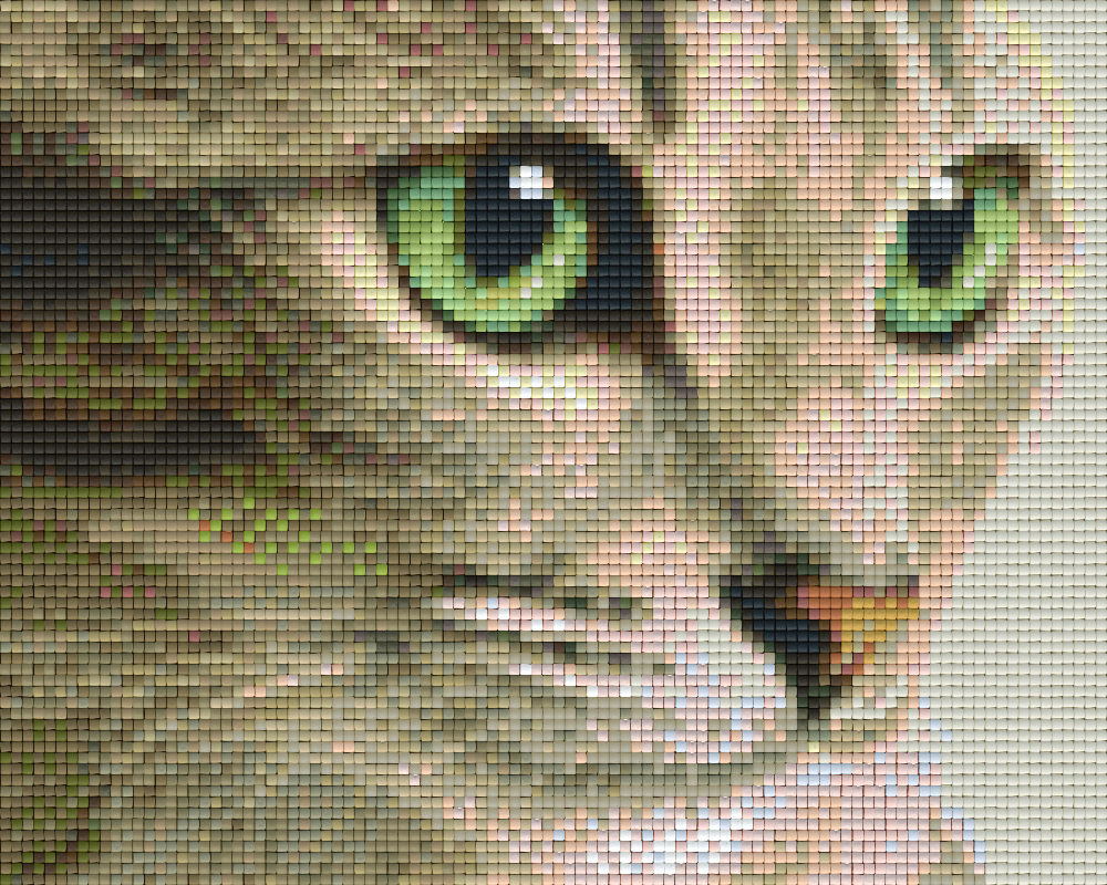 buy-all-your-favorite-pixelhobby-klassik-set-katze-fashion_0.png