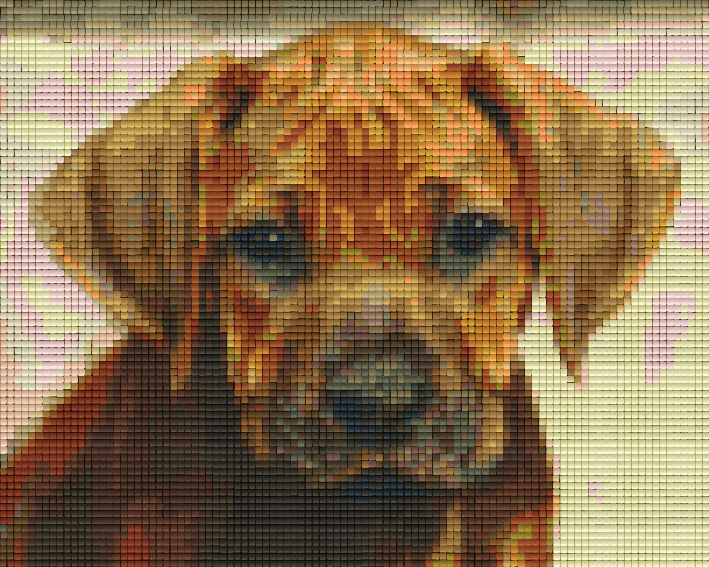 we-offer-cheap-pixelhobby-klassik-set-ridgeback-welpe-online_0.png