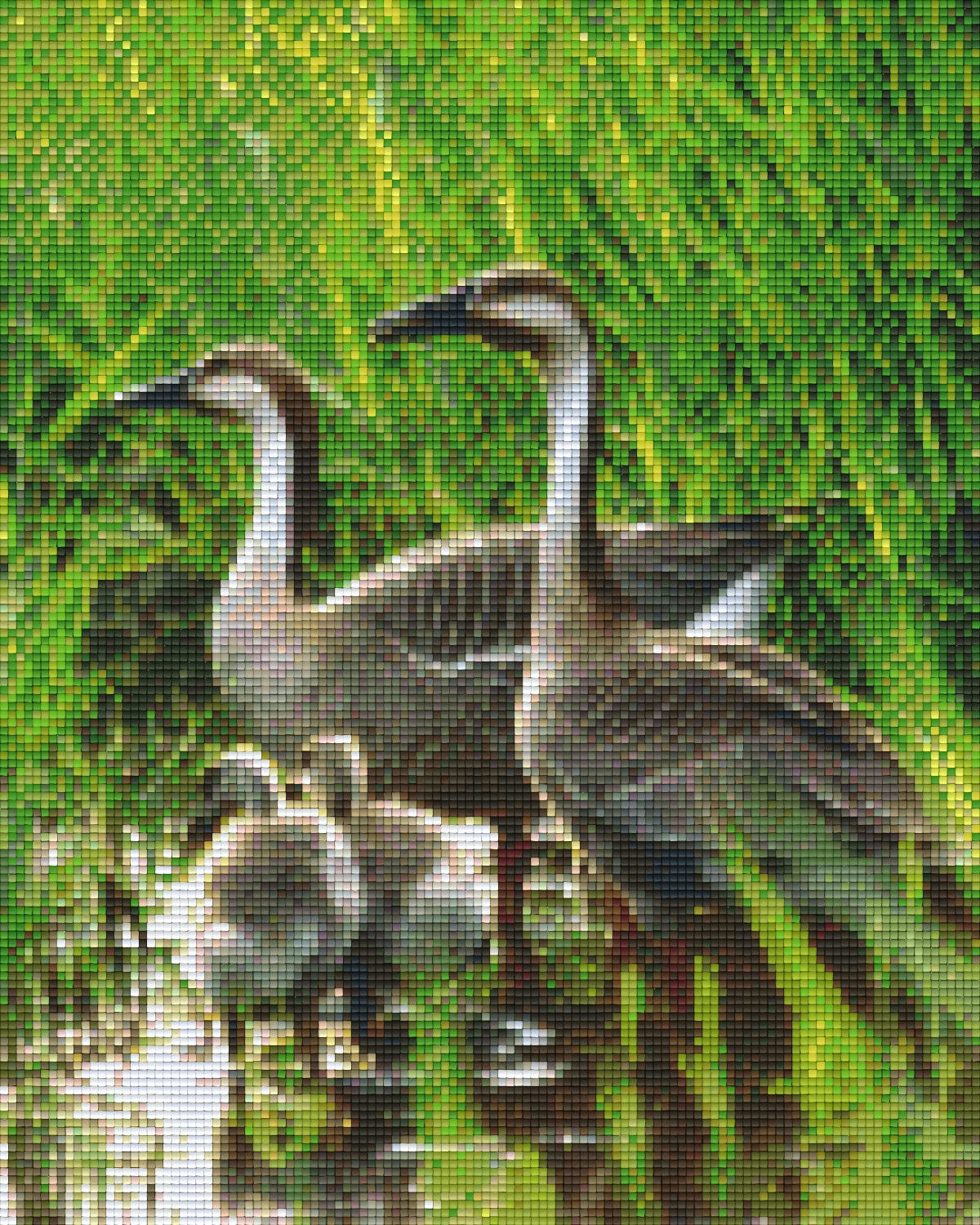 we-are-the-best-place-to-buy-pixelhobby-klassik-set-gansefamilie-discount_0.jpg