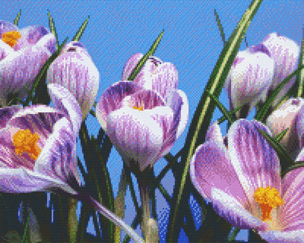 buy-and-sell-pixelhobby-klassik-set-krokusse-sale_0.png