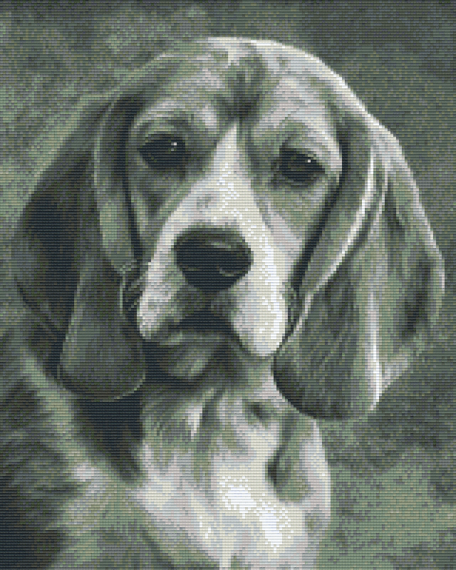 your-source-for-personalized-pixelhobby-klassik-set-beagle-s-w-online-hot-sale_0.png