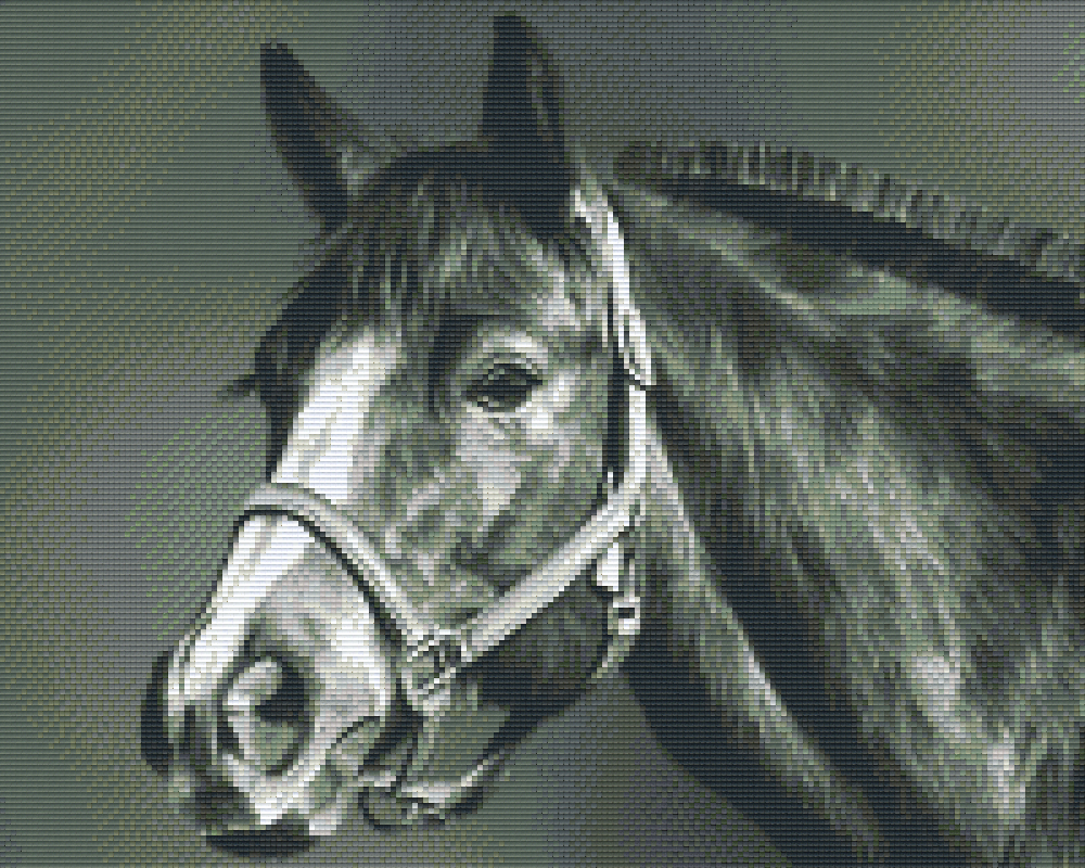 we-have-authentic-pixelhobby-klassik-set-pferd-s-w-online-now_0.png