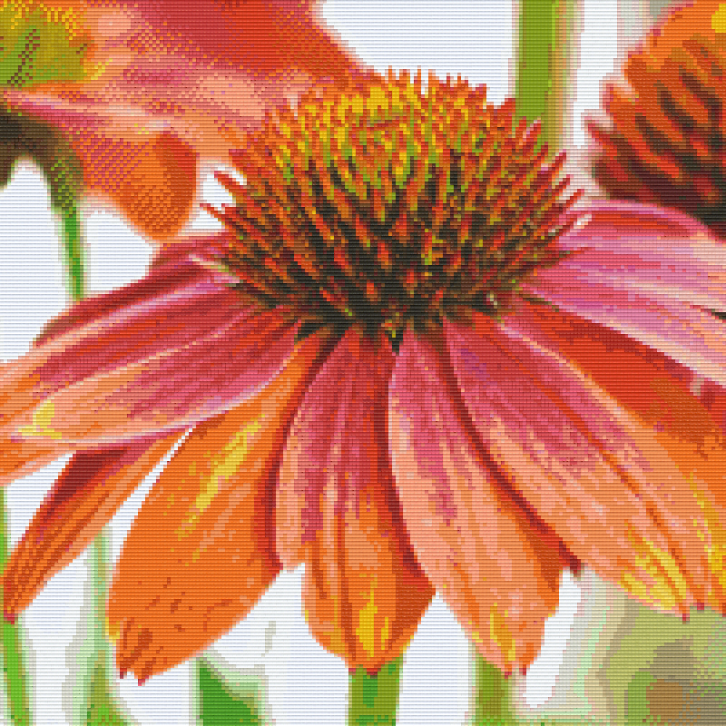 a-place-for-all-your-needs-to-get-pixelhobby-klassik-vorlage-blume-discount_0.png