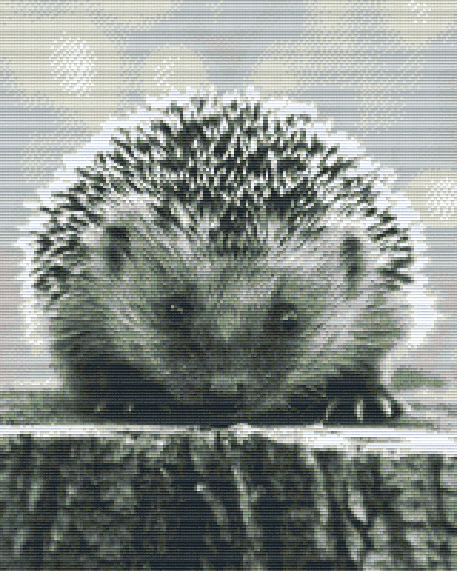 big-savings-on-quality-pixelhobby-klassik-vorlage-igel-s-w-sale_0.png