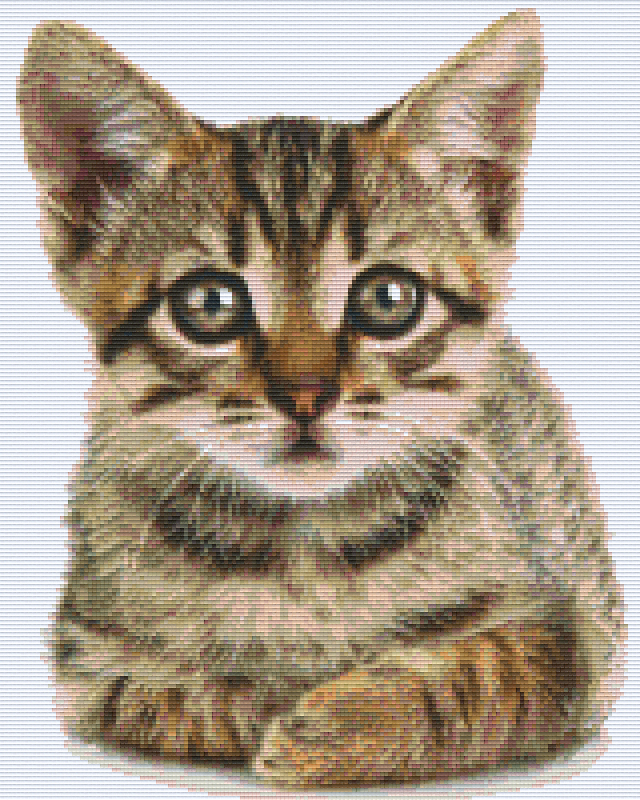 buy-the-best-cheap-pixelhobby-klassik-vorlage-katze-fashion_0.png