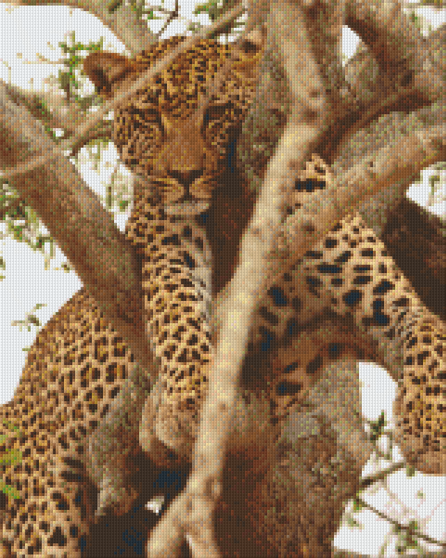 find-something-new-to-wear-pixelhobby-klassik-vorlage-leopard-im-baum-sale_0.png