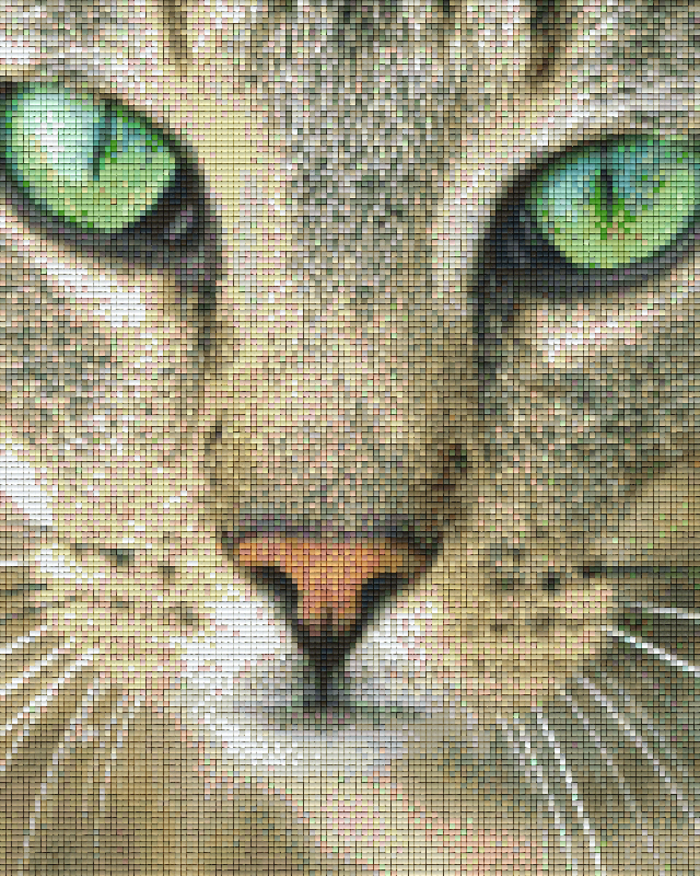 get-the-official-pixelhobby-klassik-vorlage-katze-fashion_0.png