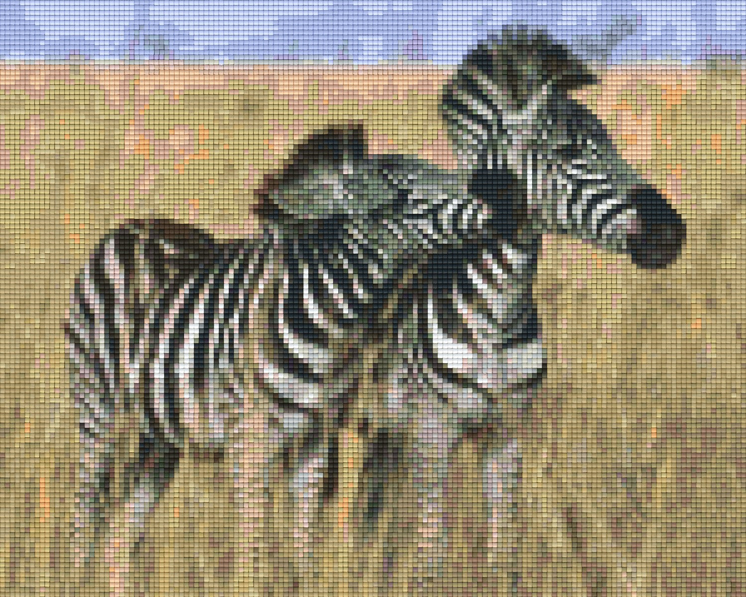 super-cool-fashion-pixelhobby-klassik-vorlage-zebras-online-hot-sale_0.jpg