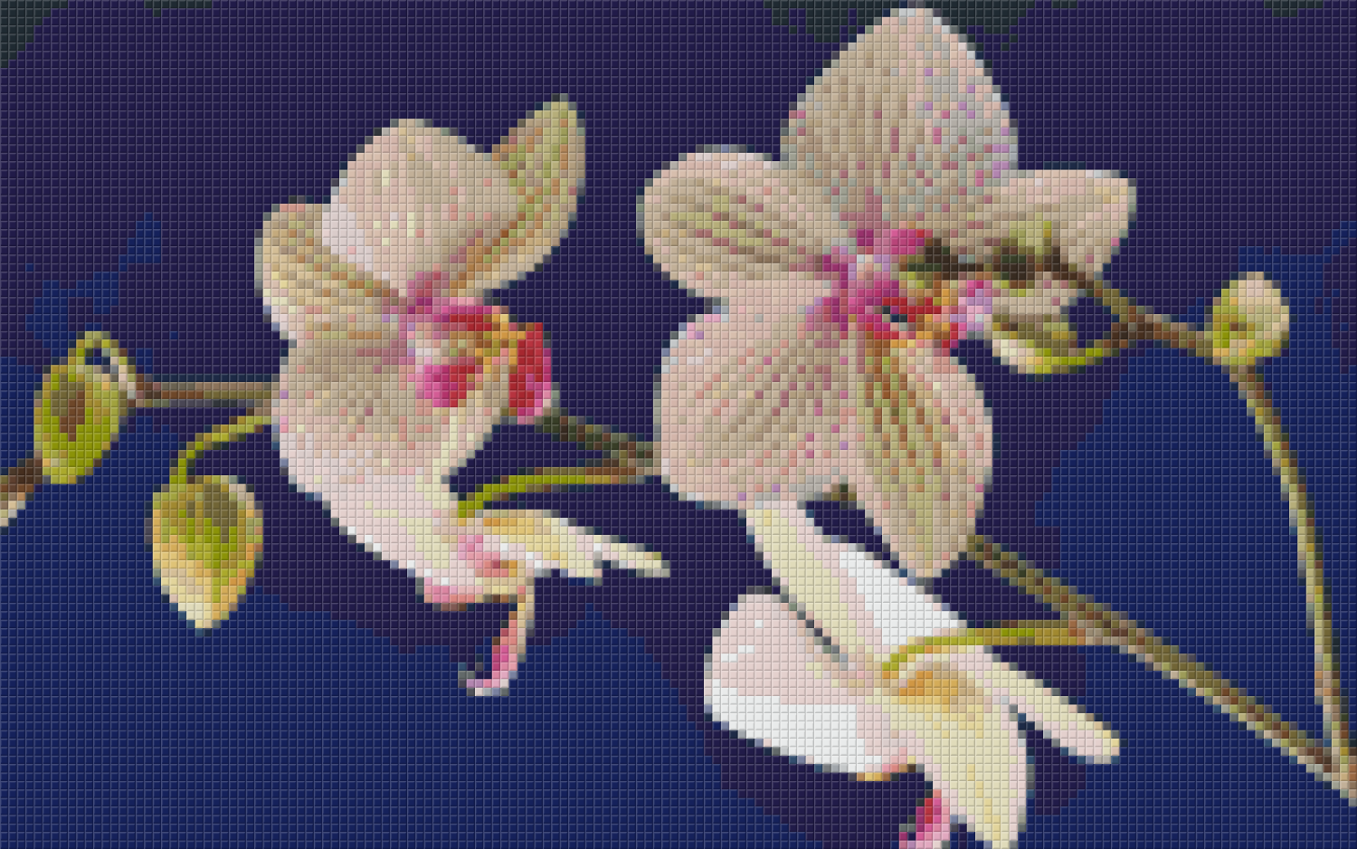 purchase-pixelhobby-klassik-vorlage-orchideen-fashion_0.png
