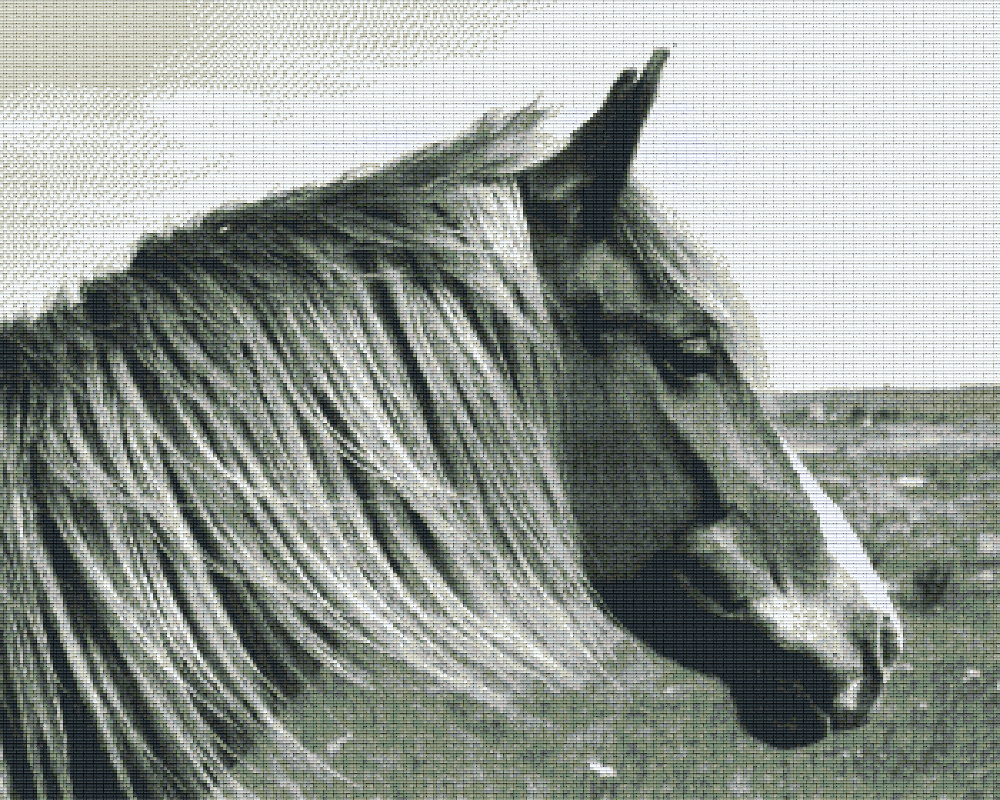 get-your-official-pixelhobby-klassik-vorlage-pferd-s-w-hot-on-sale_0.png