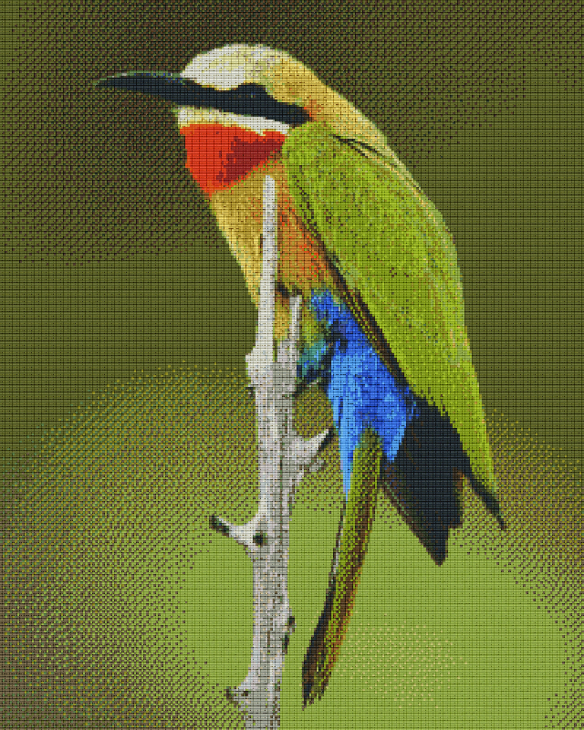 shop-without-worry-for-pixelhobby-klassik-vorlage-vogel-fashion_0.png