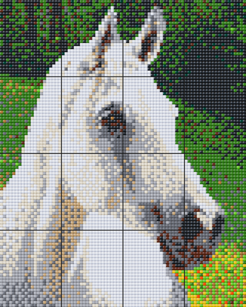 a-favorite-way-to-buy-pixelhobby-xl-big-set-horse-fashion_0.png